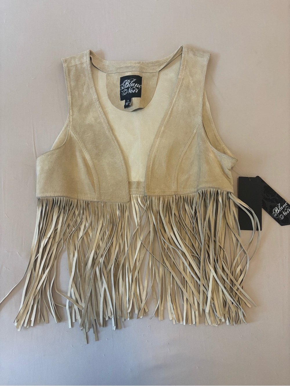 Suede Fringe Crop Vest in Beige
